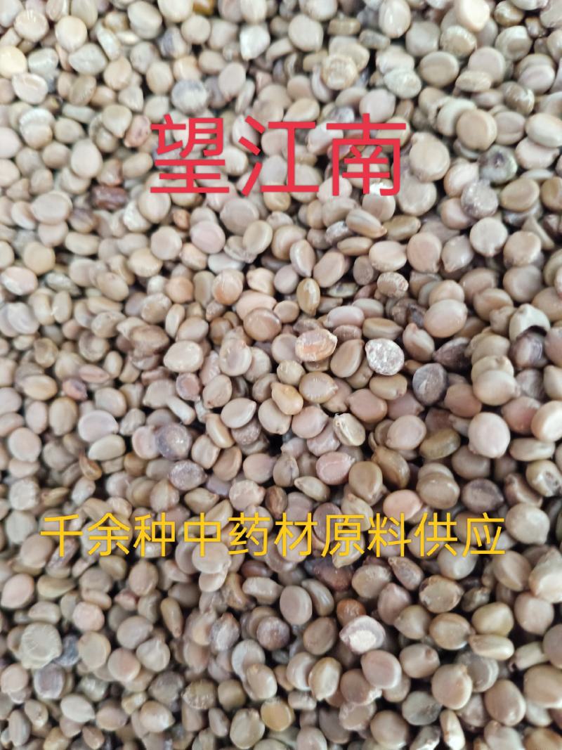 望江南，中药材望江南批发零售质量保证