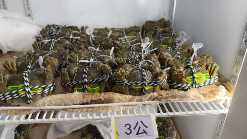 正宗大闸蟹
