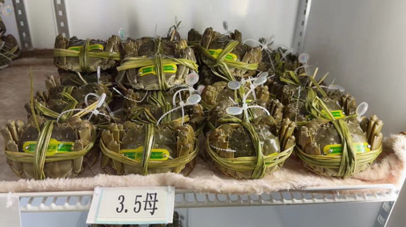 正宗大闸蟹