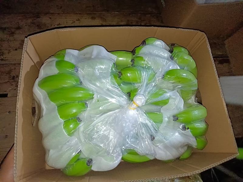 云南山地香蕉开始大量上市了，货源充足，有需要的联系我