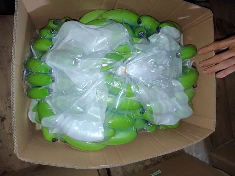 云南山地香蕉开始大量上市了，货源充足，有需要的联系我
