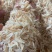 虾皮2023年虾皮批发一件15斤现货供应淡干虾皮