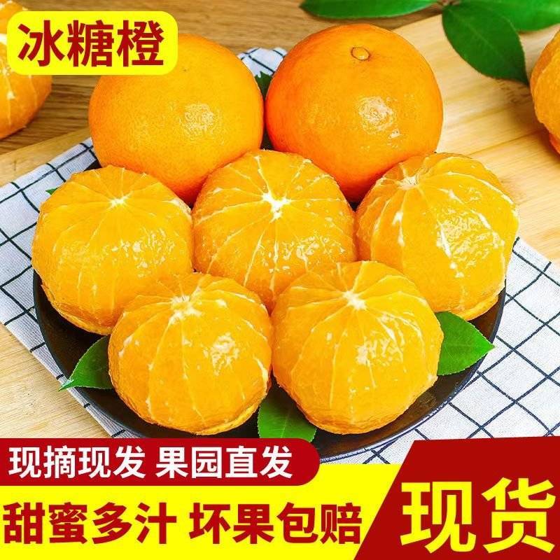云南高山特早冰糖橙纯甜多汁皮薄