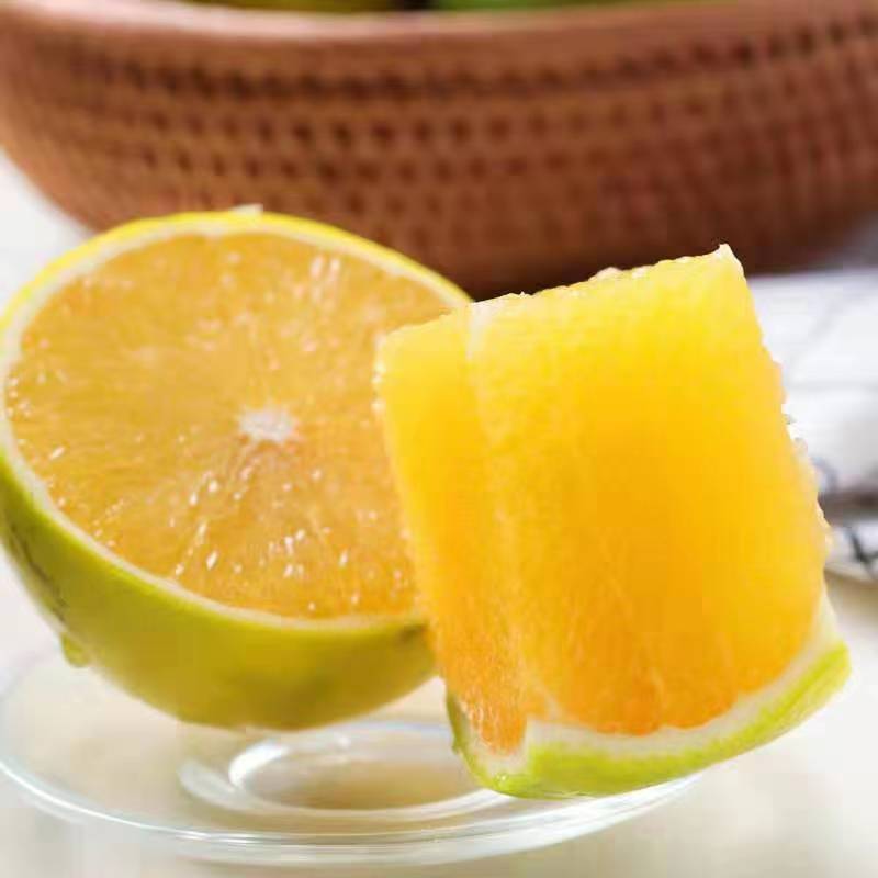 云南高山特早冰糖橙纯甜多汁皮薄