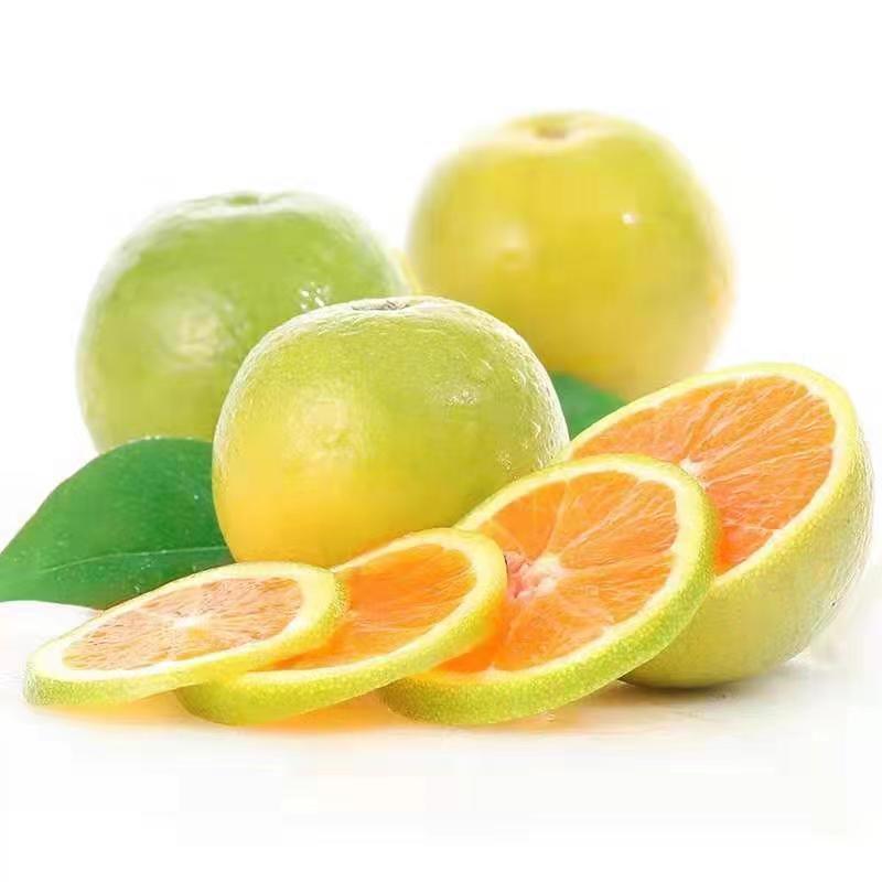 云南高山特早冰糖橙纯甜多汁皮薄