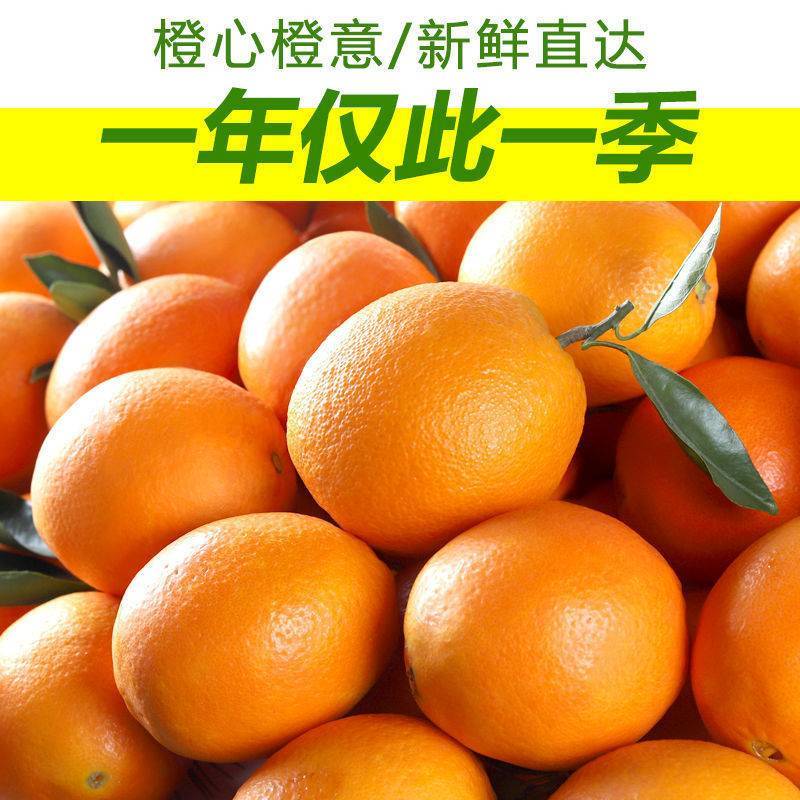 云南高山特早冰糖橙纯甜多汁皮薄