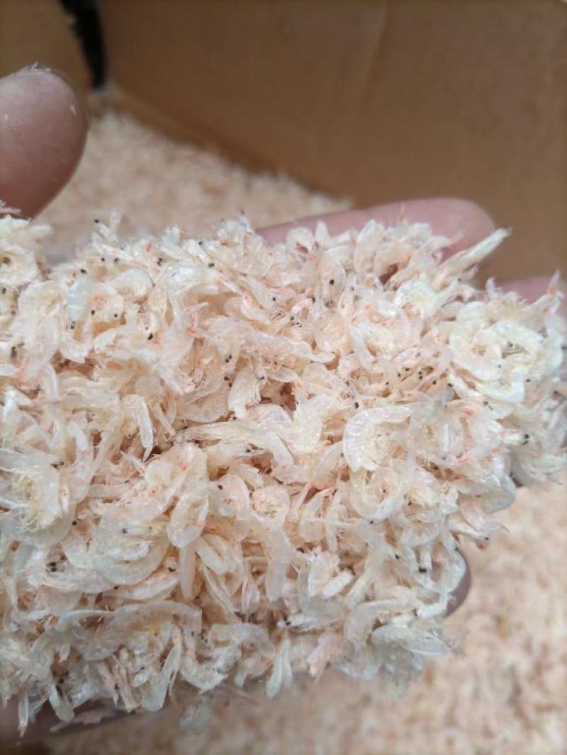 无盐淡干虾皮大号虾皮成都现货2000件价格美丽