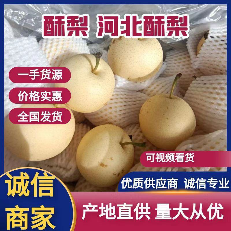 河北二级皇冠梨，半斤以上，货源充足，质量好，产地现货