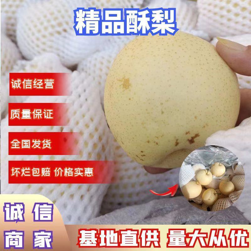 河北二级皇冠梨，半斤以上，货源充足，质量好，产地现货