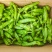 301，苏椒，线椒，美人椒，螺丝椒，等大量供应