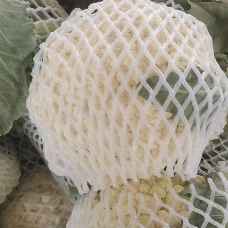 有机花菜一手货源视频看货品质保证以质论价