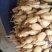 35白嫩莲藕装车，莲藕白嫩，个头中等，藕节圆润，囗感甜。