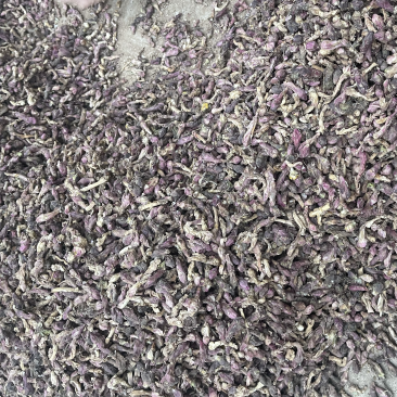 款冬花(原装货、好统货、大量现货)