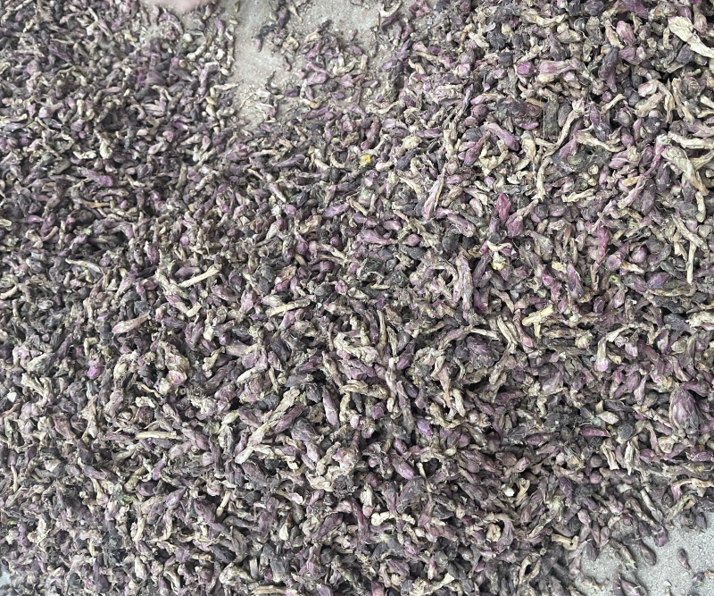 款冬花(原装货、好统货、大量现货)