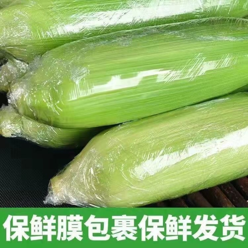 云南金黄水果玉米2/5/9斤一件代发包邮包售后