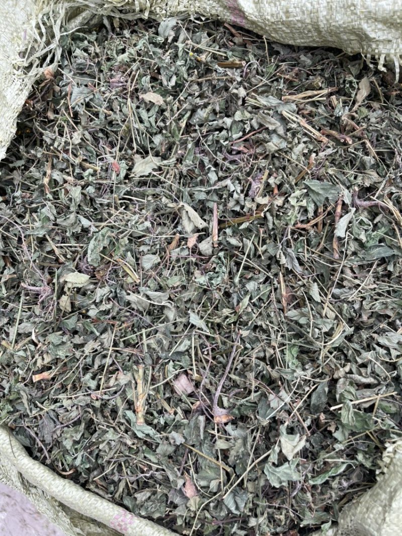 仙鹤草