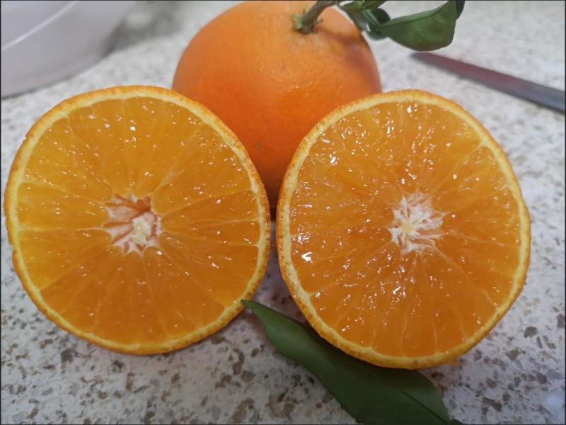 九月红果冻橙，皮薄味甜果肉细腻入口化渣，欢迎咨询