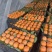 河北顺平脆柿子脆甜可口大量上市量大价优