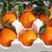 湖北脐橙精品甜橙大量上市，诚信经营，全国发货，欢迎来电咨询