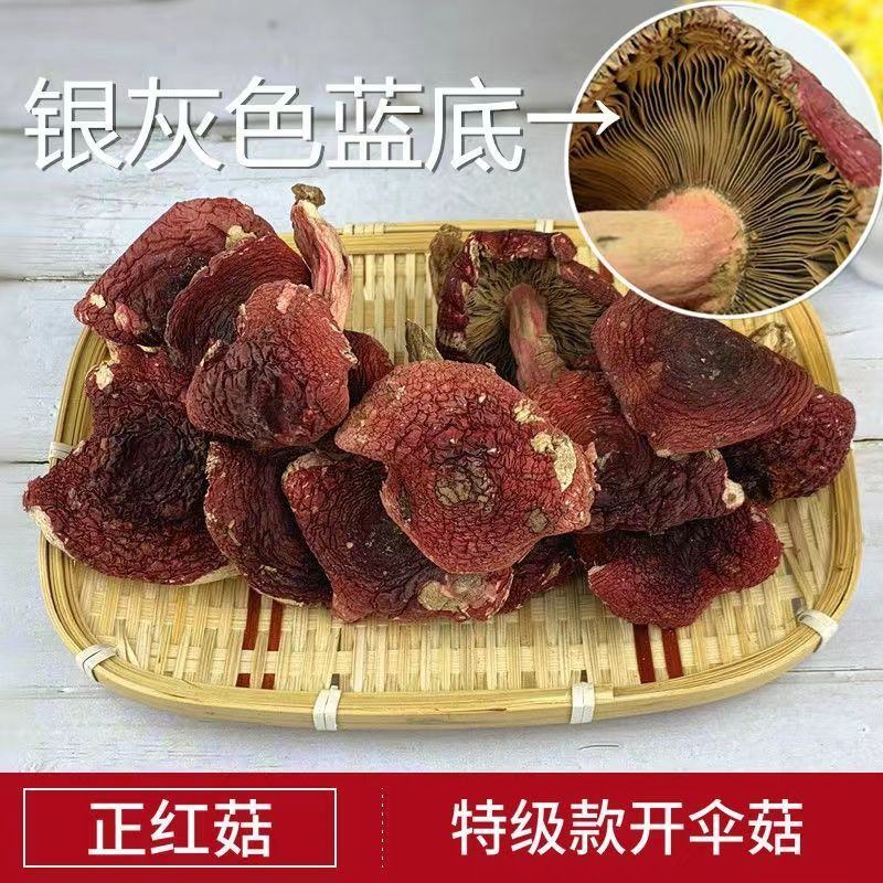 正宗云南野生红菇新货孕产妇月子煲汤滋补深山开伞一等品菌类