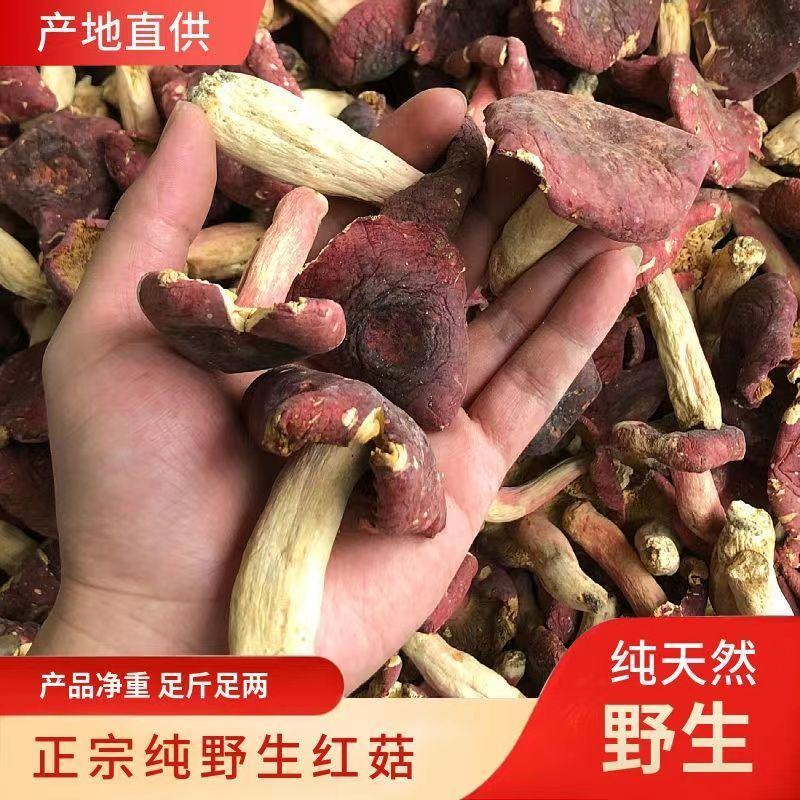 正宗云南野生红菇新货孕产妇月子煲汤滋补深山开伞一等品菌类