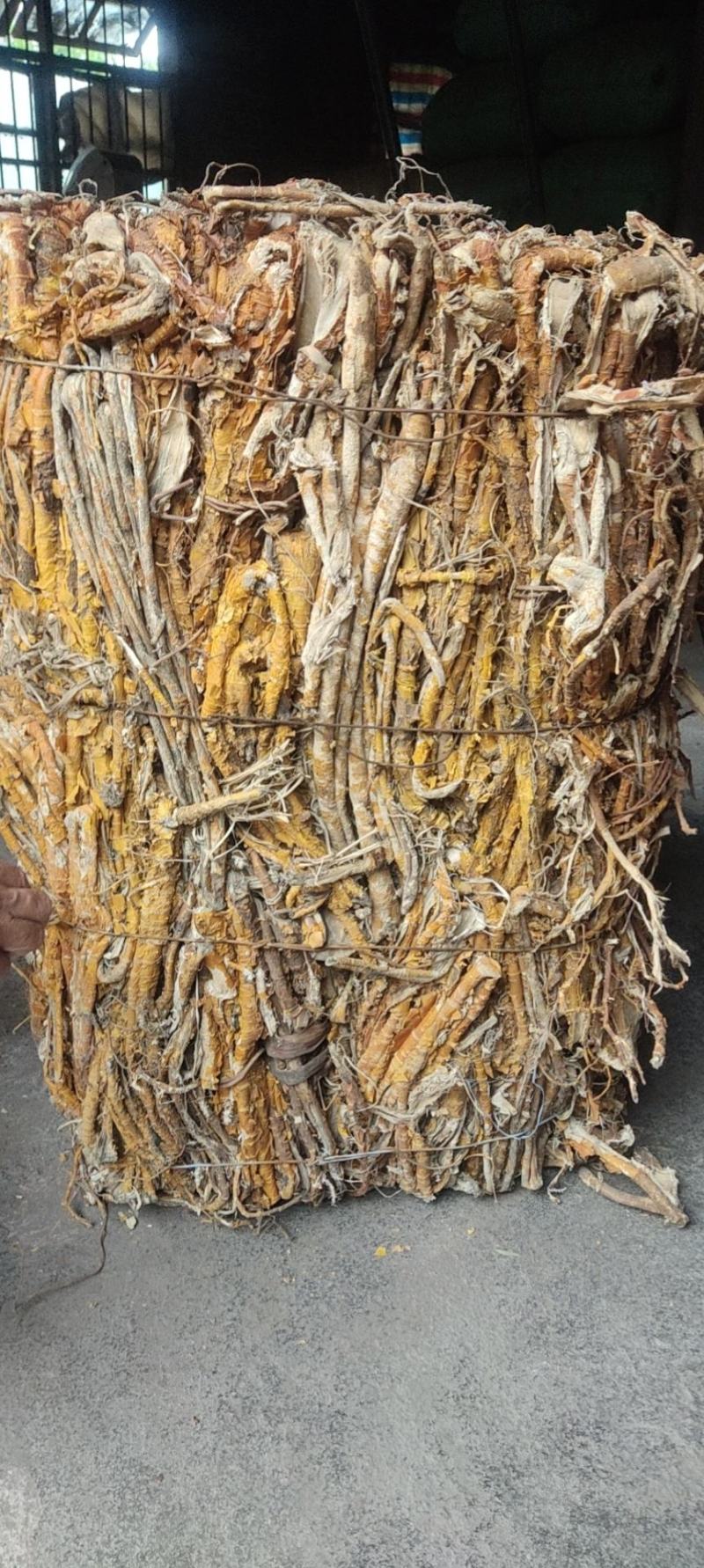 桑白皮中药材批发零售桑白皮桑根皮老桑根皮