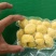新鲜板栗仁，口感糯甜，来自大别山深山老林现加工的板栗