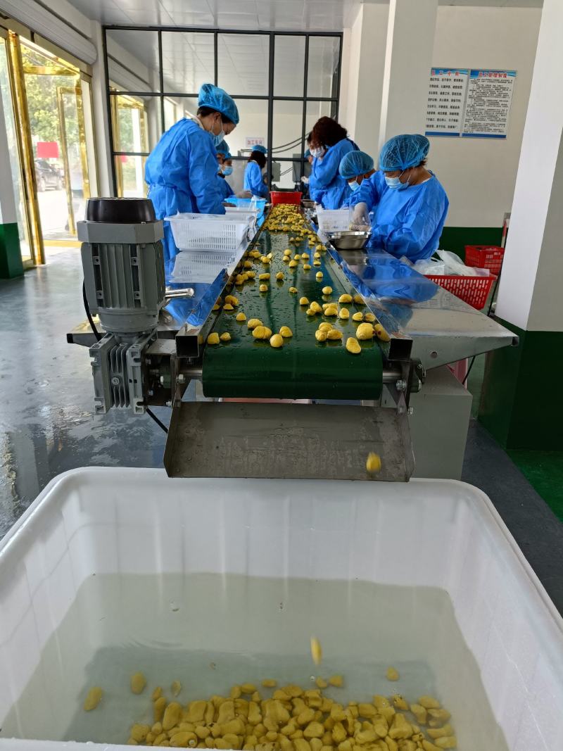新鲜板栗仁，口感糯甜，来自大别山深山老林现加工的板栗