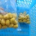新鲜板栗仁，口感糯甜，来自大别山深山老林现加工的板栗