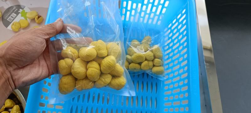 新鲜板栗仁，口感糯甜，来自大别山深山老林现加工的板栗
