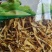 云南野生手工制作新嫩笋干