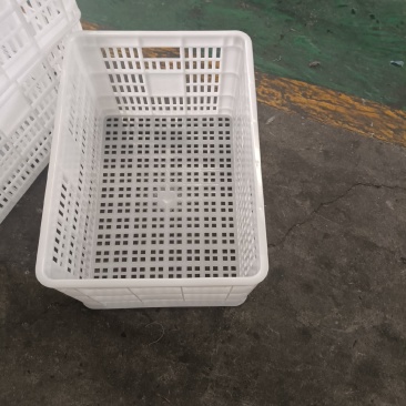 贵州猕猴桃筐柑橘筐塑料周转筐百货筐塑料筐-水果筐