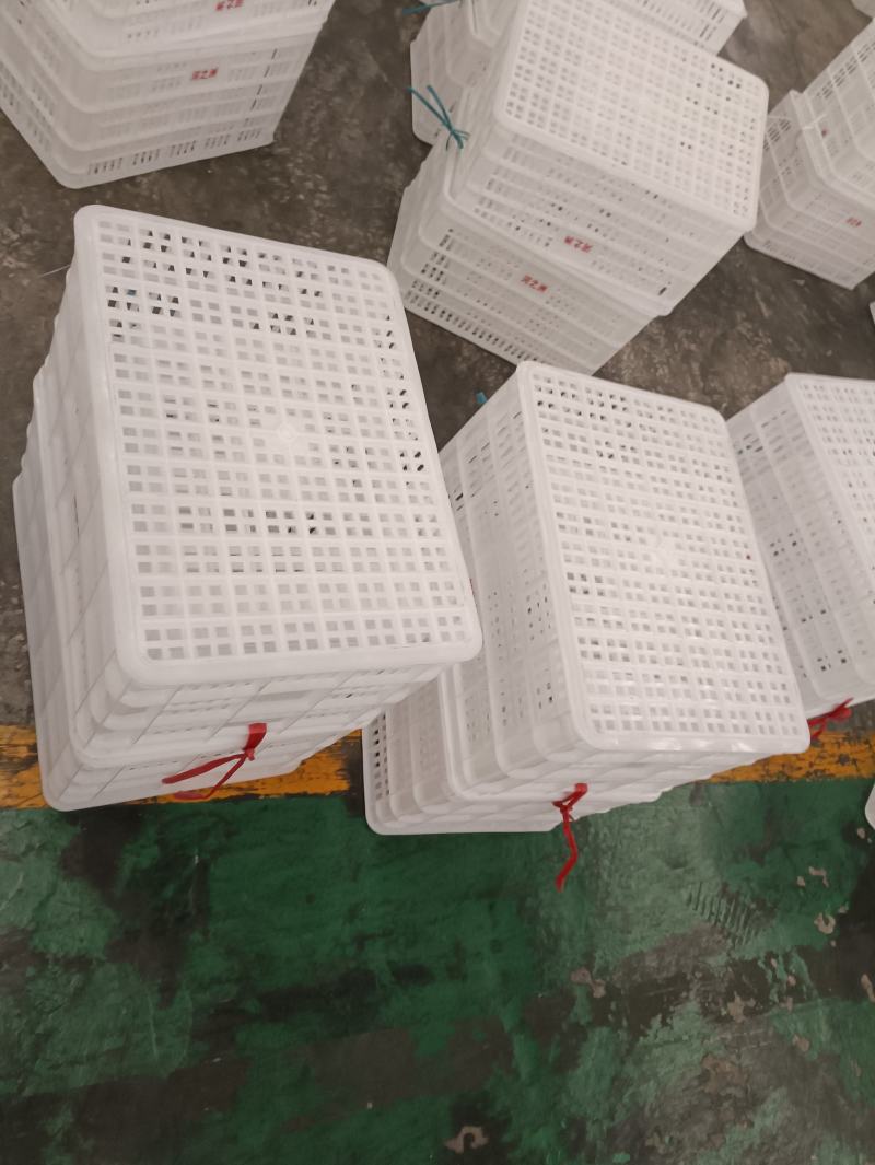 贵州猕猴桃筐柑橘筐塑料周转筐百货筐塑料筐-水果筐