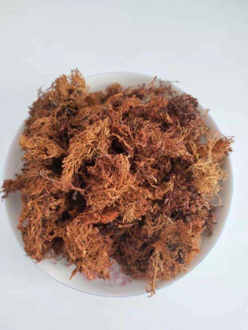 云南野生树花菜凉拌口感好