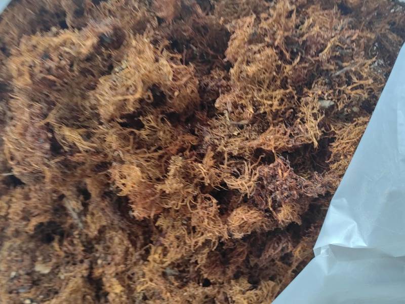 云南野生树花菜凉拌口感好
