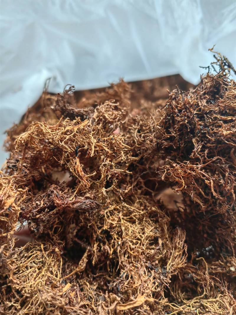 云南野生树花菜凉拌口感好