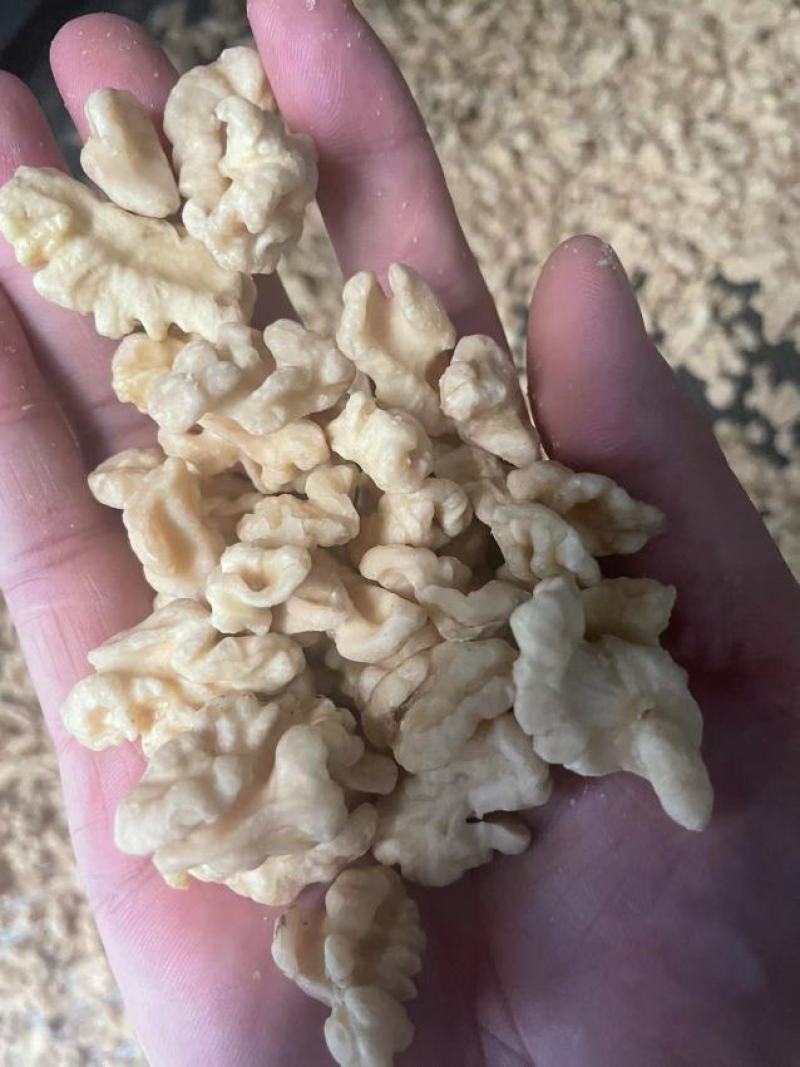 7p药材食用菌瓜果蔬菜花茶辣椒农副产品烘干机