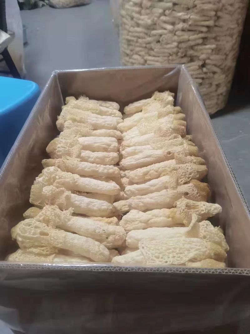 7p药材食用菌瓜果蔬菜花茶辣椒农副产品烘干机