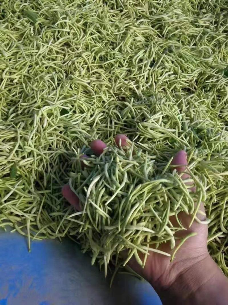7p药材食用菌瓜果蔬菜花茶辣椒农副产品烘干机
