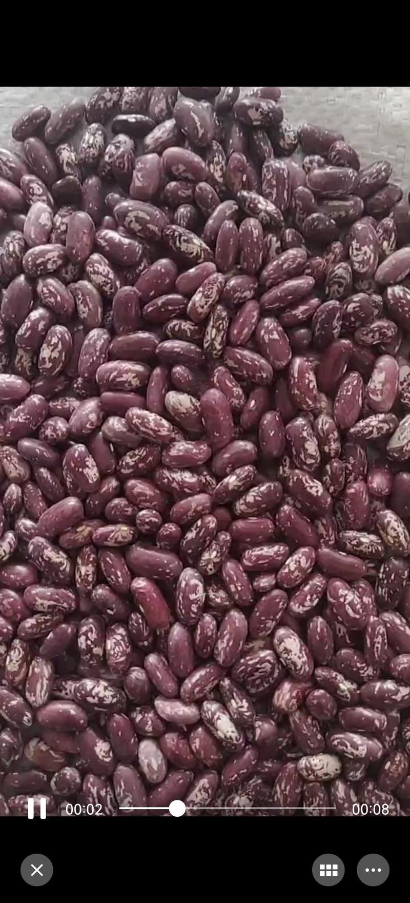 出售东北2022年新下来的饭豆品质保证，一级精选全国发货
