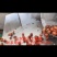山东临沂大板栗