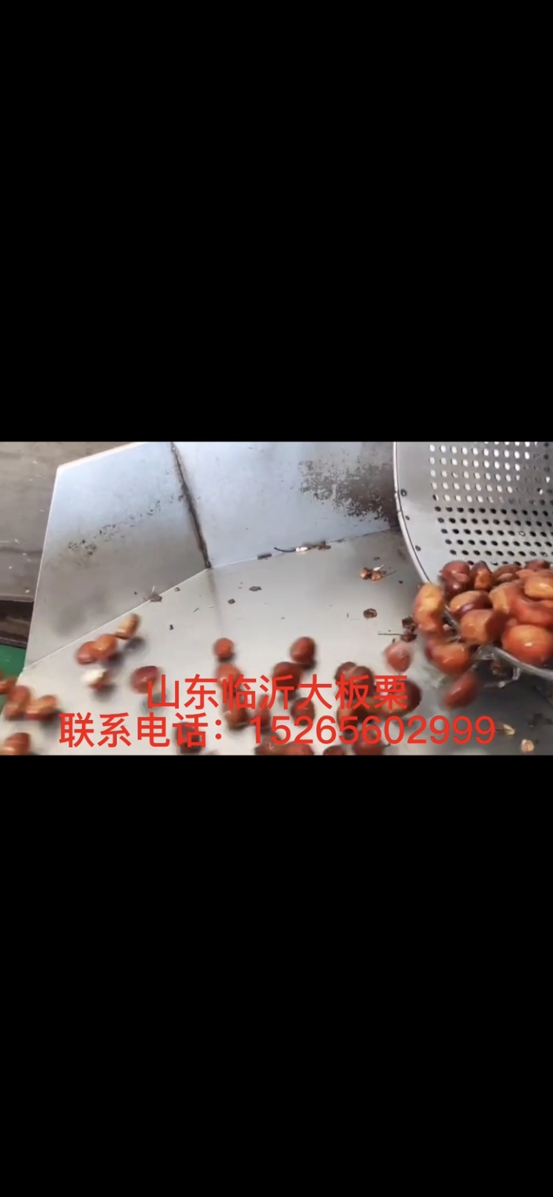 山东临沂大板栗