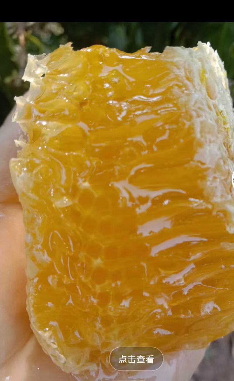 为谁辛苦为谁甜，借助大自然，酿造纯真土蜂蜜，自产自销！