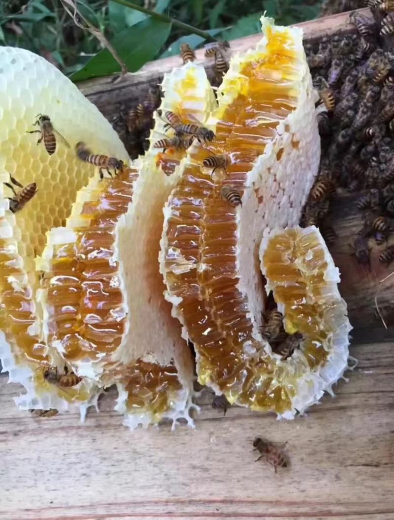为谁辛苦为谁甜，借助大自然，酿造纯真土蜂蜜，自产自销！