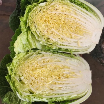 精品大白菜，质量好，货源充足