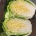 精品大白菜，质量好，货源充足