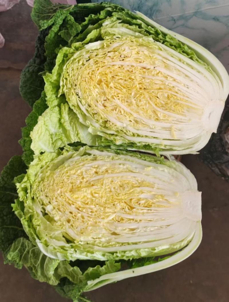 精品大白菜，质量好，货源充足