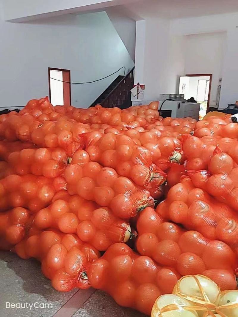 【热卖】红心柚，白心柚，三红柚一手货源，电商市场对接，