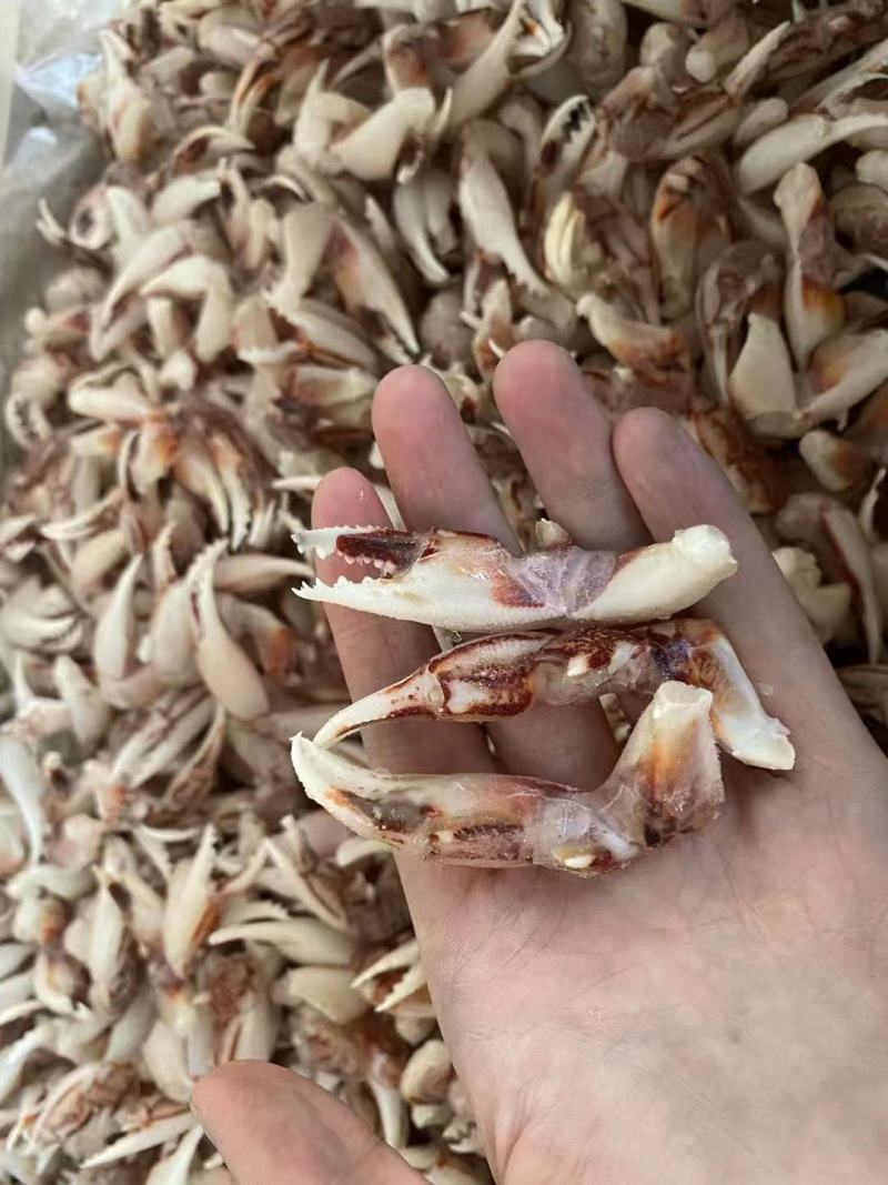 沙蟹钳，工厂直发，大量上市中，量大从优，捞汁专用欢迎采购