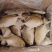 无冰金鲳鱼，工厂直发，大量上市中，欢迎各位老板采购